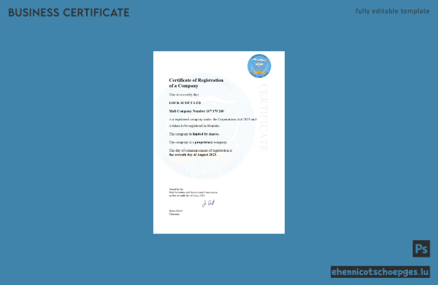 Mali-Gewerberegistrierungszertifikat – Beispielvorschau (Word und PDF)